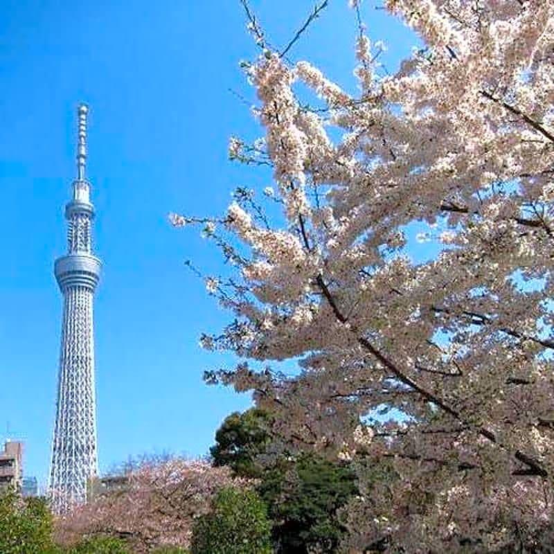 First Cabin Shinbashi Atagoyama Tokyo prefektur Exteriör bild
